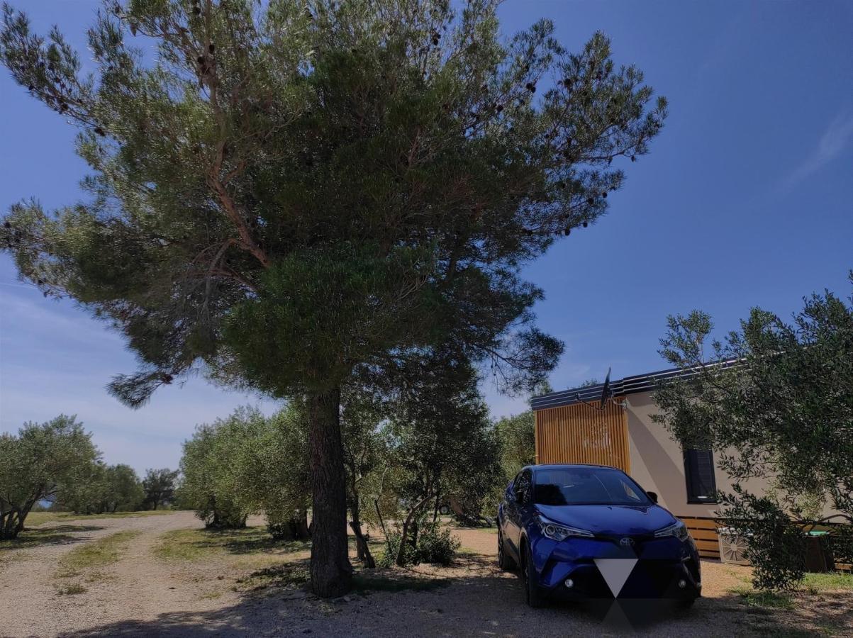 Zen Zone Premium Mobile Home Drage Extérieur photo